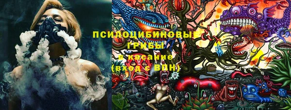 Альфа ПВП Беломорск