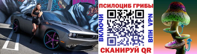 Псилоцибиновые грибы MAGIC MUSHROOMS  Купить закладки  Нелидово 