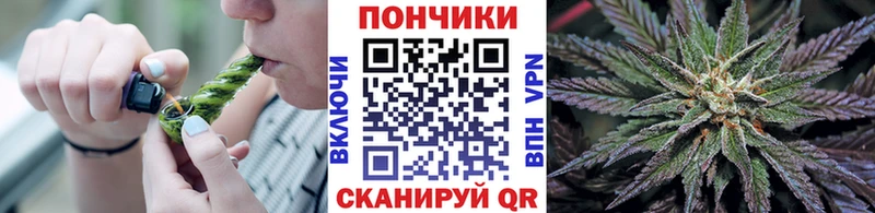 Бошки Шишки план  Купить  Нелидово 